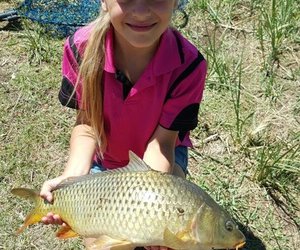 o/10 Sussies ken van Hengel